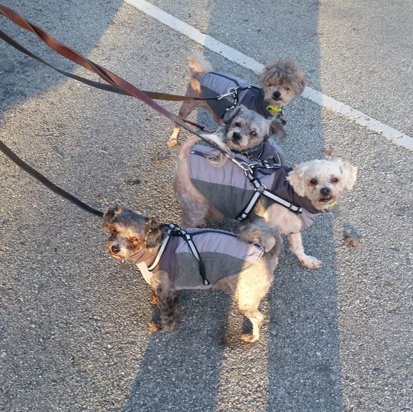 Meet your Posher, A. - Picture 1 of 6